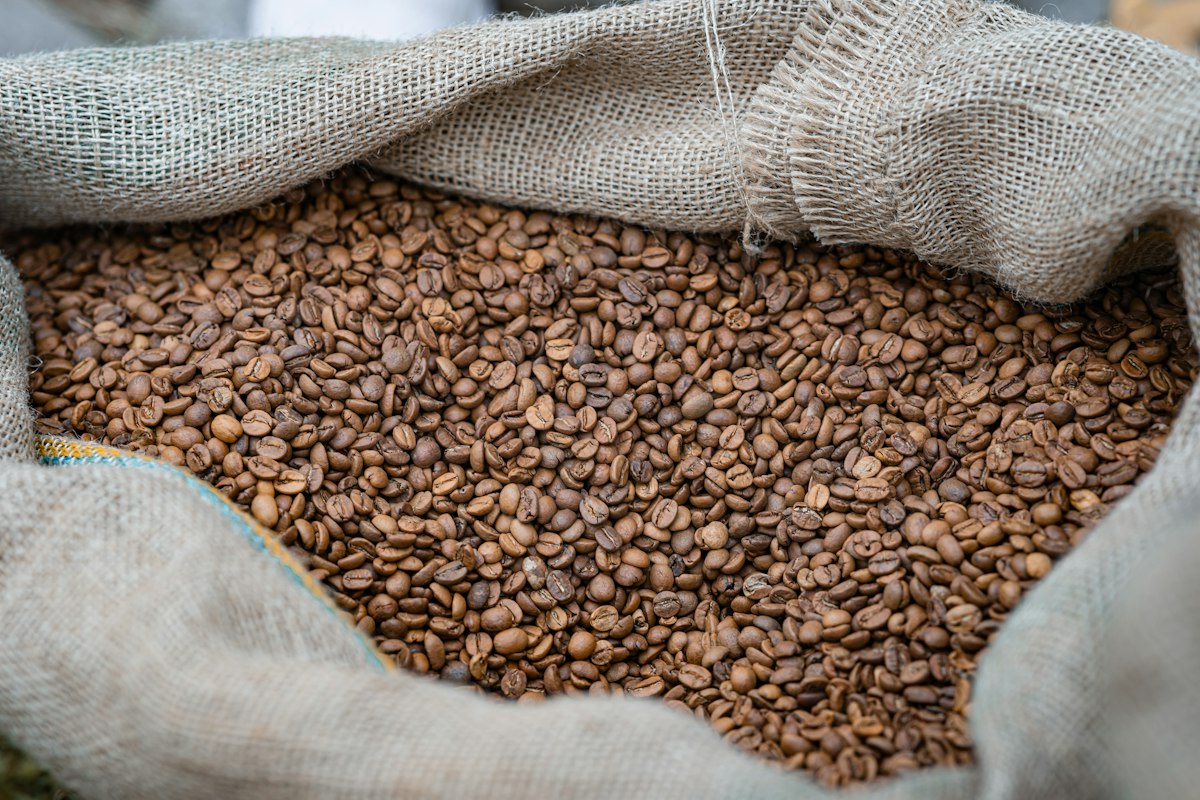 Kopi Tempur — 6 sachet per box